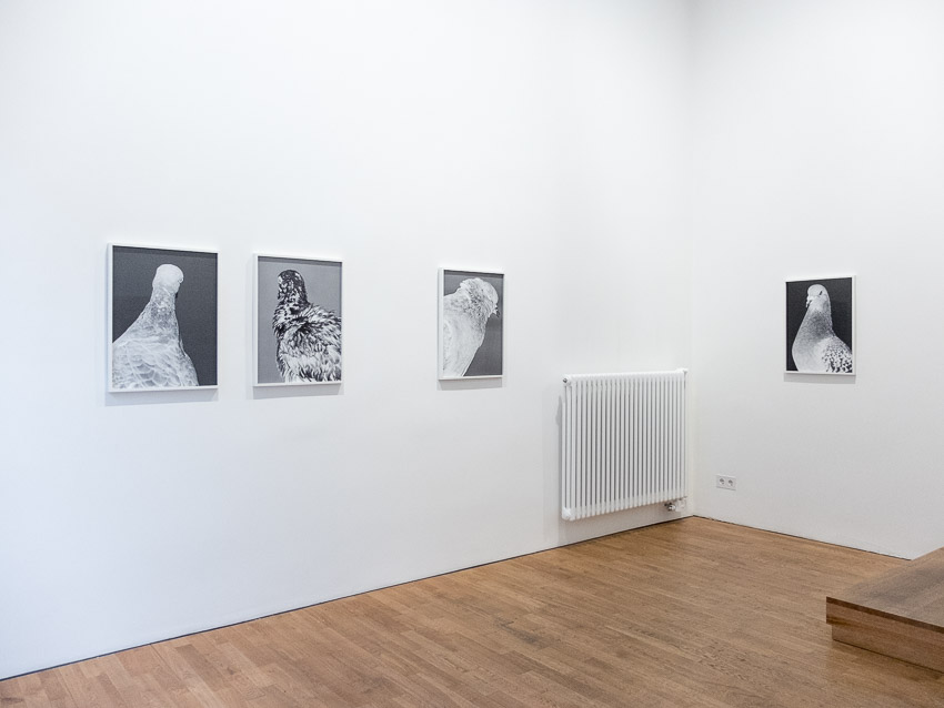 Robert Morat Galerie, Berlin, Germany, 2017.