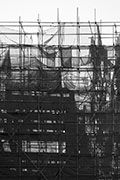 Ghost Witness 36