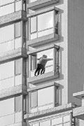 Ghost Witness 42