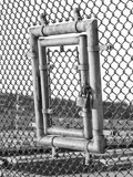 The Mechanism 4